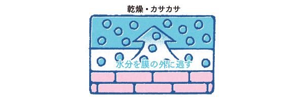 乾燥・カサカサ／水分を膜の外に逃す