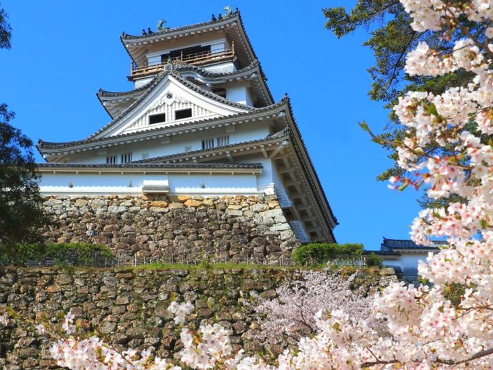 All About ニュース編集部が全国285人を対象に実施した「旅行先に関するアンケート」の調査結果から、【男性限定】春に行きたいと思う「高知県の旅行先」ランキングを発表！ 2位「高知城」を抑えた1位は？