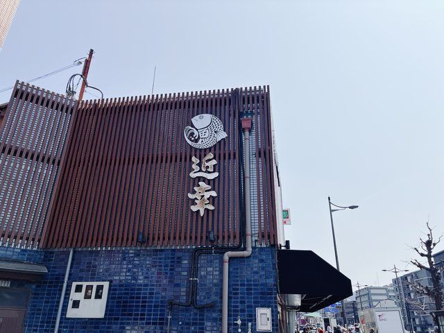  (308513)