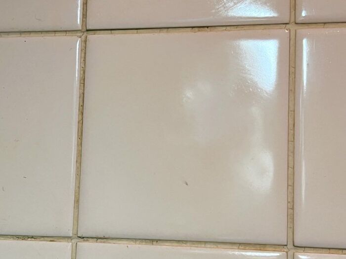 ベタベタ地獄にさよなら！コンロ周りの『頑固な油汚れ』が最速でスルッと落ちる方法とは！？