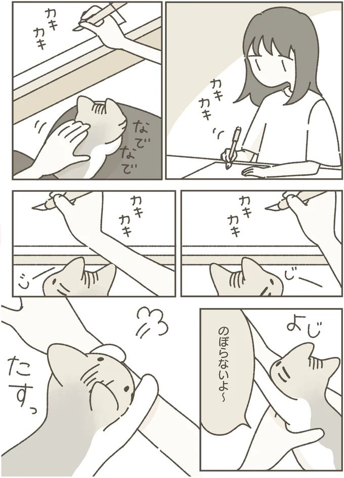16124250.webp