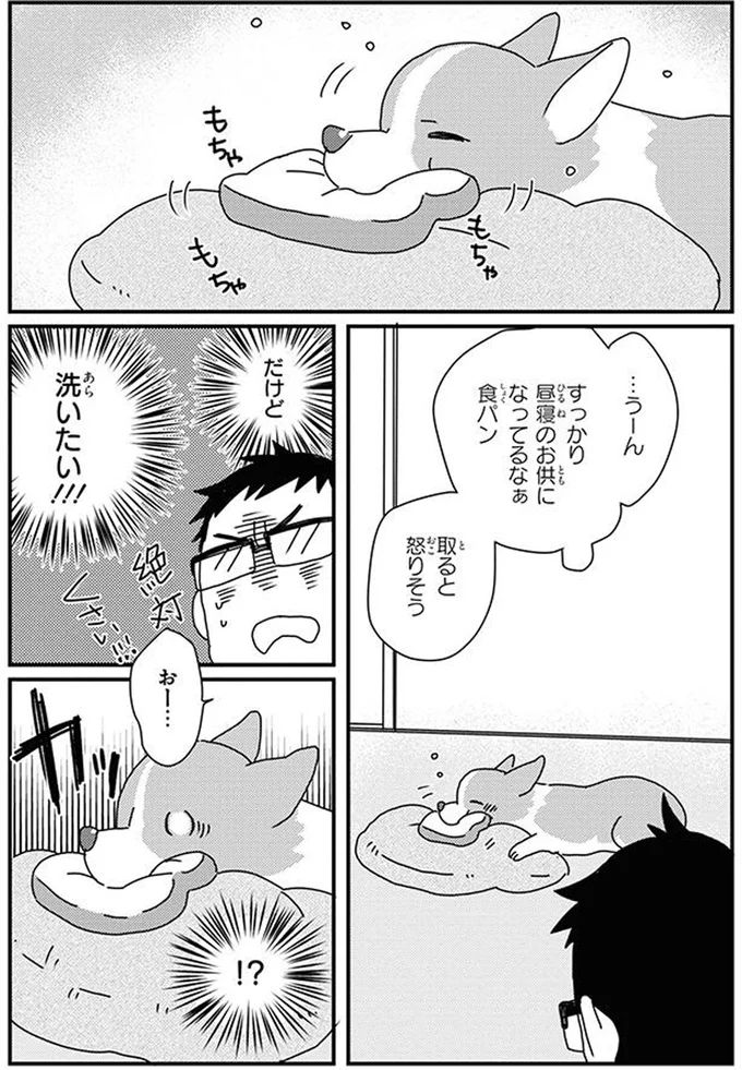 16070786.webp