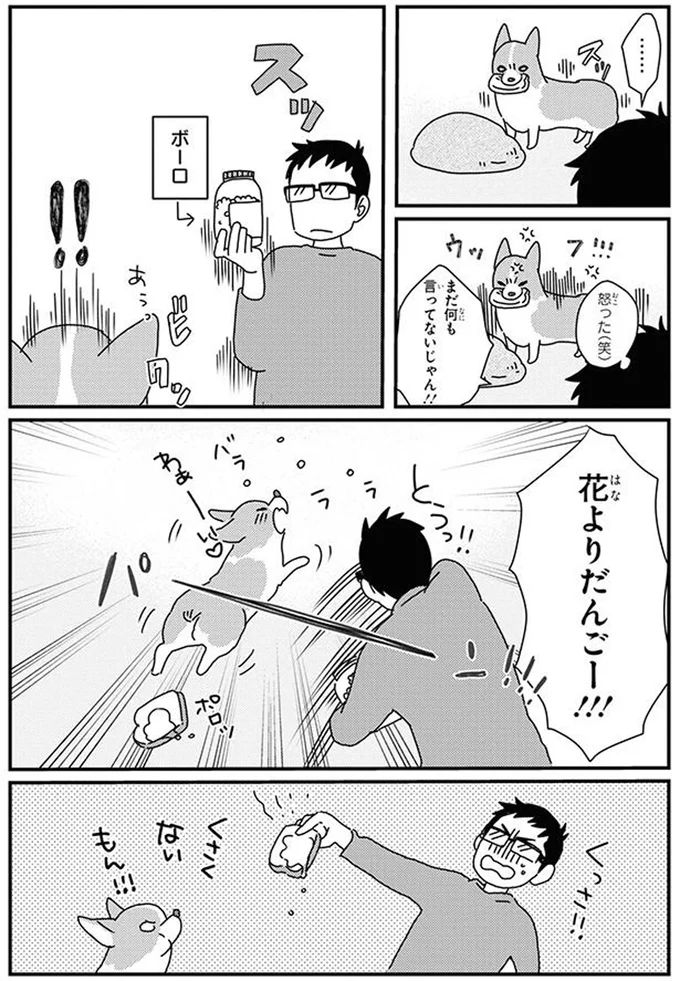 16070787.webp