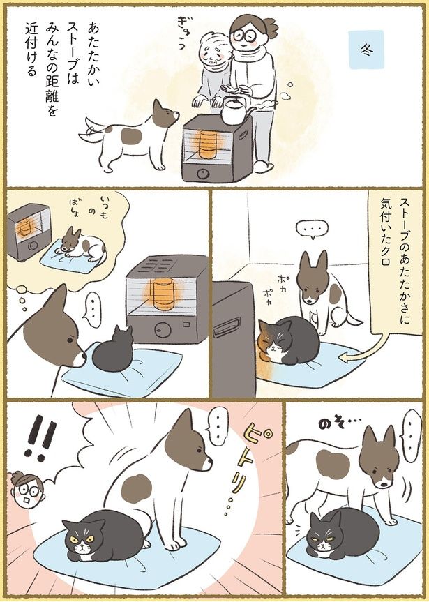 ピトリ… （C）ふじもりはる／KADOKAWA