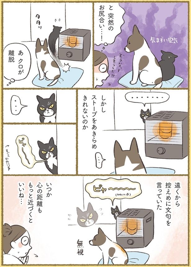 突然のお尻合い…！ （C）ふじもりはる／KADOKAWA