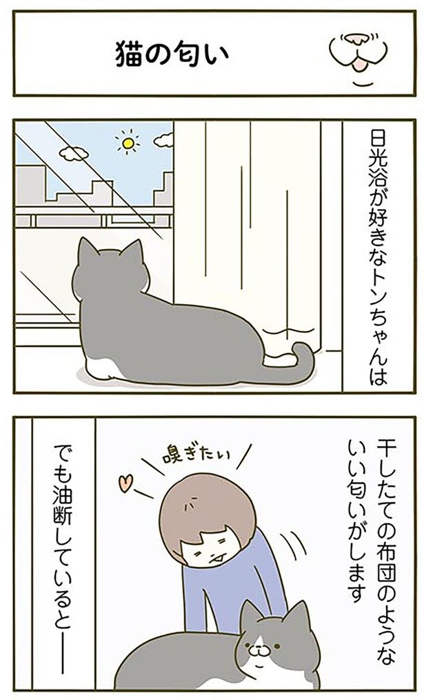 油断していると… （C）卵山玉子／KADOKAWA