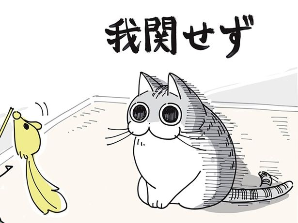 我関せず （C）キュルZ／KADOKAWA
