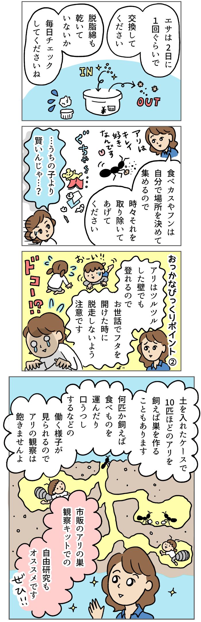 虫は苦手！だけど、子どもに「アリさん飼いたい～！」って言われたらどうする？ おっかなびっくりママに贈るカンタン飼育法の画像3