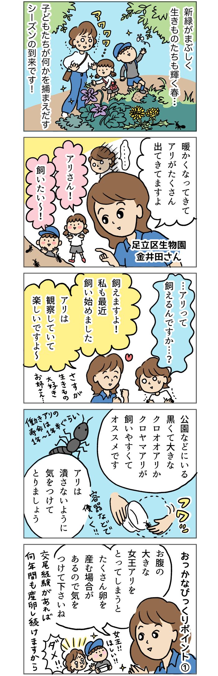虫は苦手！だけど、子どもに「アリさん飼いたい～！」って言われたらどうする？ おっかなびっくりママに贈るカンタン飼育法の画像1