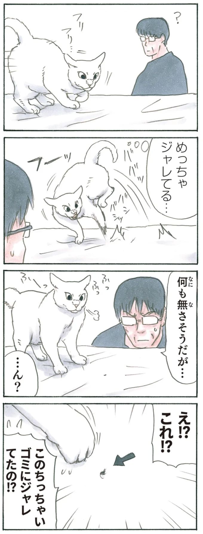13344061.webp