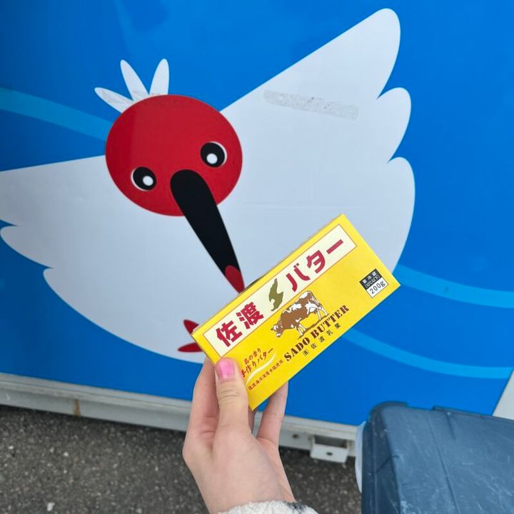 トキと一緒に