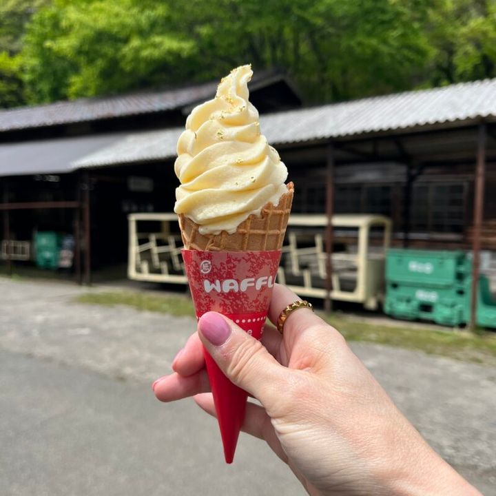 金粉が乗ったソフトクリーム