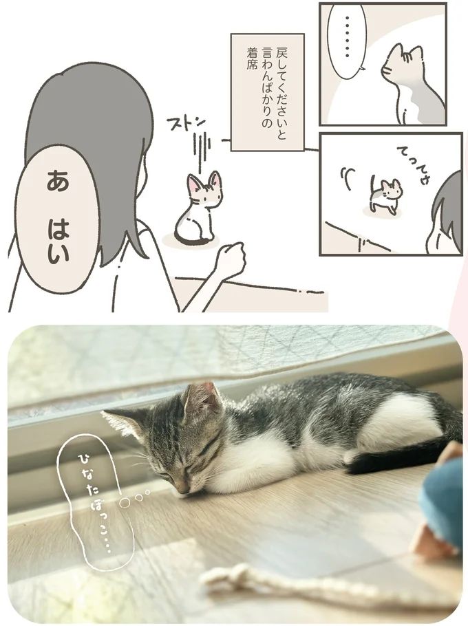 16124247.webp