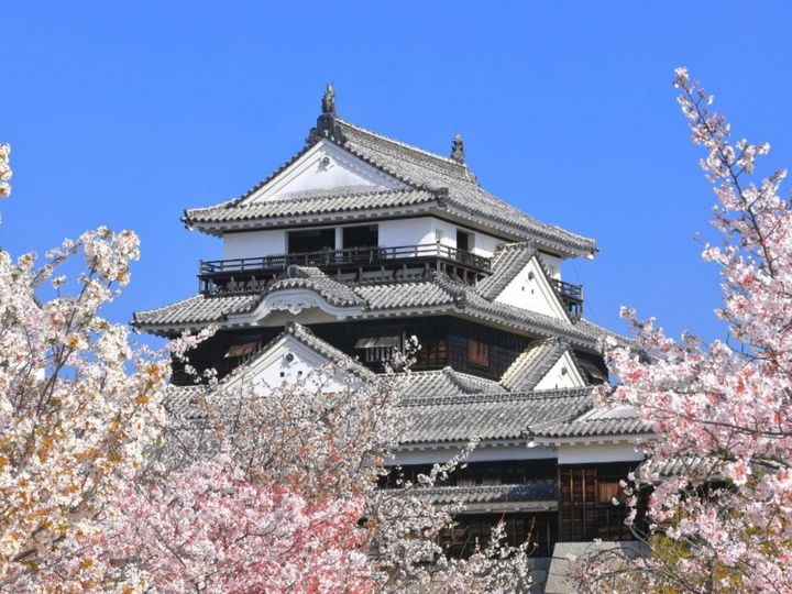 All About ニュース編集部が全国285人を対象に実施した「旅行先に関するアンケート」の調査結果から、【男性限定】春に行きたいと思う「愛媛県の旅行先」ランキングを発表！ 2位「松山城」を抑えた1位は？
