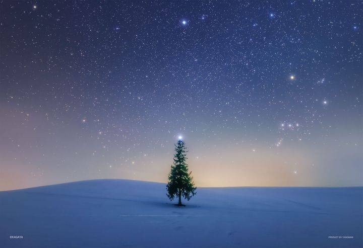 ジグソーパズル「シリウスのツリー（北海道）」