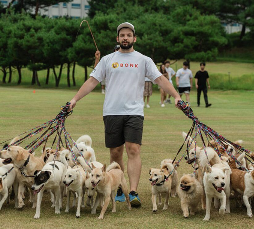 38匹の犬と歩く奇跡の挑戦
