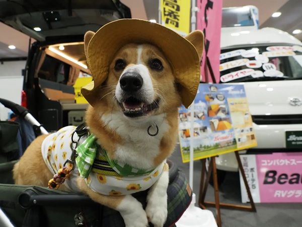 【静岡県静岡市】「ふじのくにキャンピングカー＆アウトドアショー2026」開催！前売券を販売中