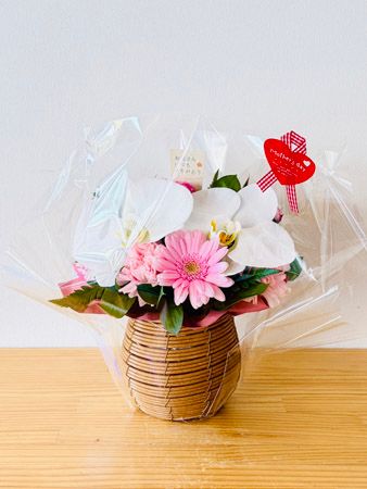 【埼玉県さいたま市】母の日に特別な花ギフトを！大宮駅ナカに胡蝶蘭専門店「らんや」の限定ショップ登場