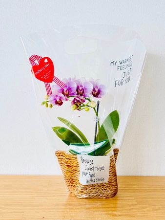 【埼玉県さいたま市】母の日に特別な花ギフトを！大宮駅ナカに胡蝶蘭専門店「らんや」の限定ショップ登場