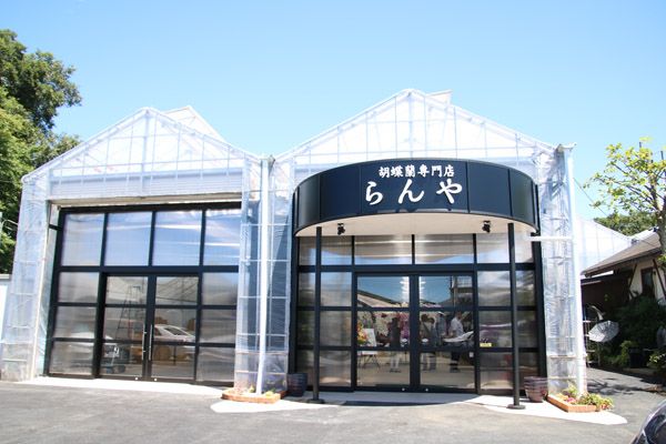 【埼玉県さいたま市】母の日に特別な花ギフトを！大宮駅ナカに胡蝶蘭専門店「らんや」の限定ショップ登場