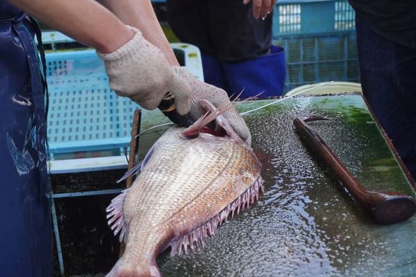 「神⼾北野ホテル」総⽀配⼈・総料理⻑の⼭⼝浩さんが、兵庫県「県勢⾼揚功労」受賞！