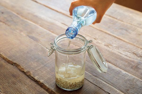 1.ハトムギを洗って容器に入れ、酒を注ぐ