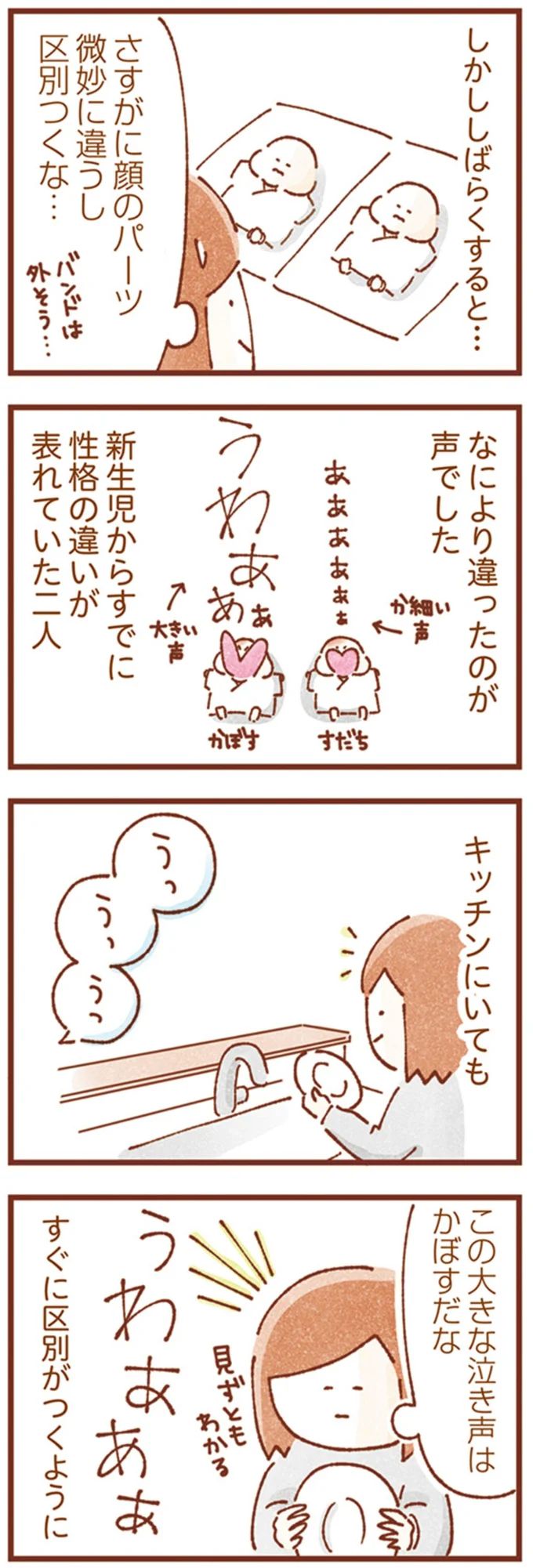 16247993.webp