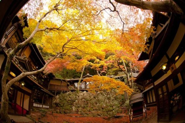 料理旅館「明治の森 箕面音羽山荘」が、開業20年記念の20％OFFキャンペーン実施中