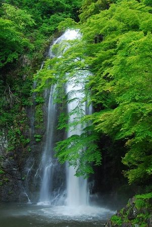 料理旅館「明治の森 箕面音羽山荘」が、開業20年記念の20％OFFキャンペーン実施中
