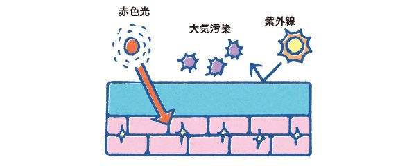 紫外線・大気汚染から防御、赤色光は透過