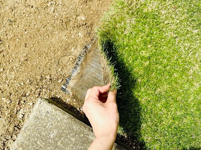 草むしりは「梅雨前」にやるのが正解！？極力ラクに雑草を駆除する方法。今こそチャンスのタイミングですよ♪