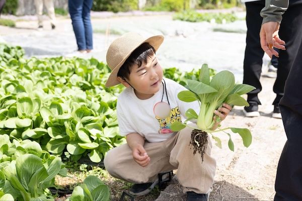 マチルダがカゴメとの共同企画として全3回の親子向け食農プロジェクトをスタート