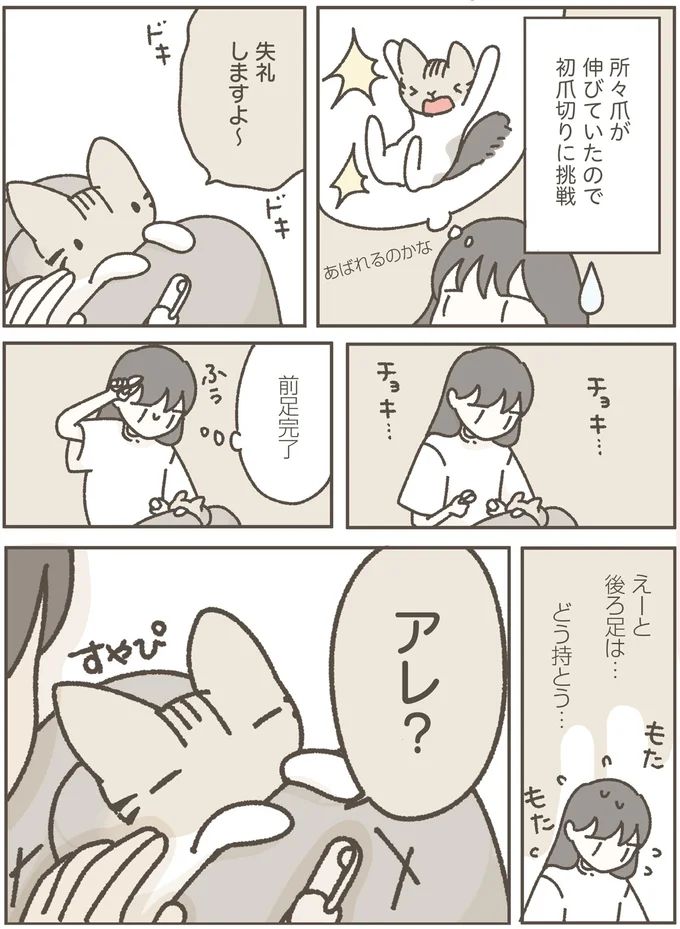 16124241.webp