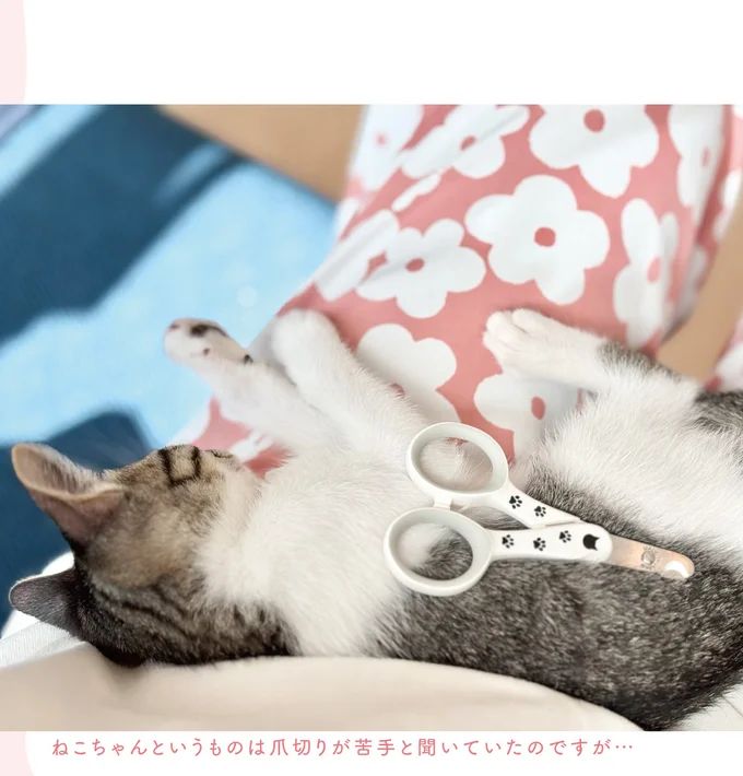 16124242.webp