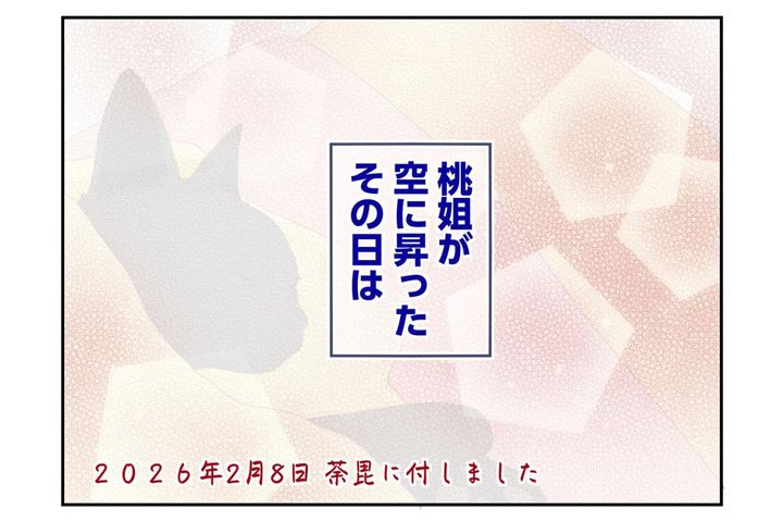 【マンガ・老猫日誌＃63】老猫が最後に叶えてくれたこと〜19歳の元保護猫・桃姐