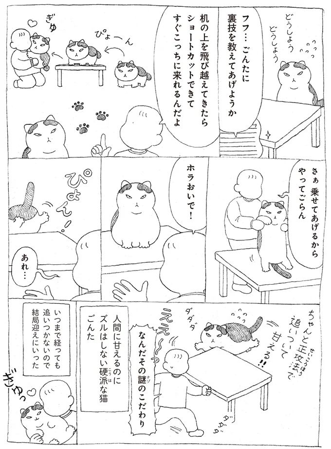 16108730.webp