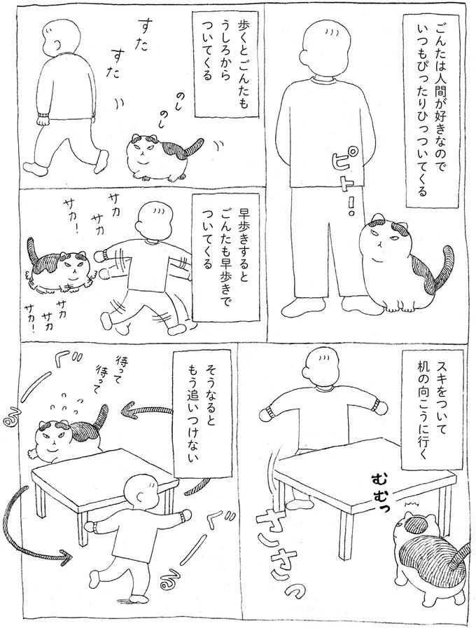 16108653.webp