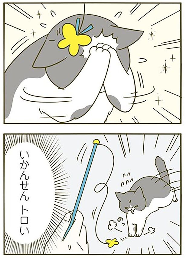 トロい！ （C）卵山玉子／KADOKAWA