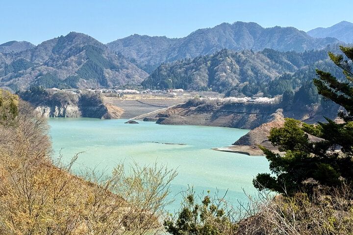 週末ドライブで行きたい♪ 相模原の里山に溶け込む隠れ家で癒やしのランチタイム「古民家カフェ 雅」