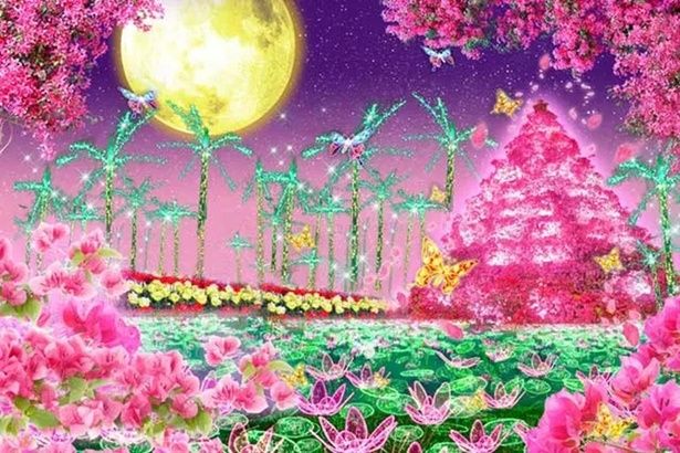 入園料のみで楽しめる「南国イルミネーション」。17時〜22時までライトアップされる