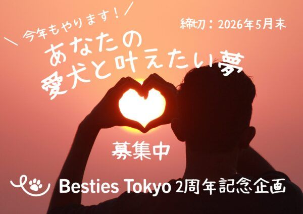 ペット向けのウェルネス施設「Besties Tokyo」が「愛犬と叶えたい夢」を募集中！