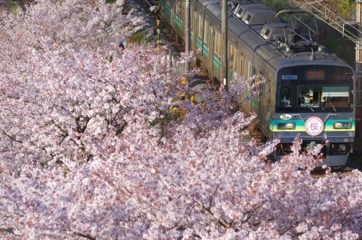 行田市内で撮影された第22回秩父鉄道写真コンテスト入賞作品 イメージ1