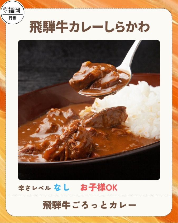 舞鶴公園カレーフェス2026春／.飛騨牛カレー しらかわ