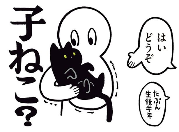 子ねこ？ （C）AKR／KADOKAWA