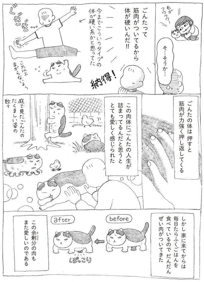 16108728.webp