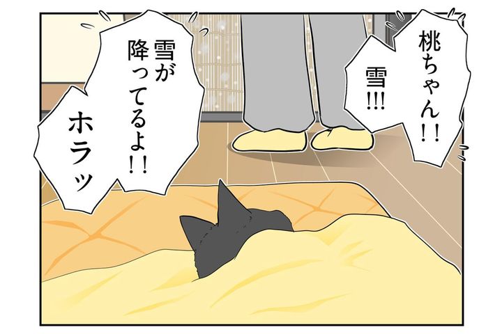 【マンガ・老猫日誌＃64】桃姐が見せた最後の奇跡〜19歳の元保護猫・桃姐
