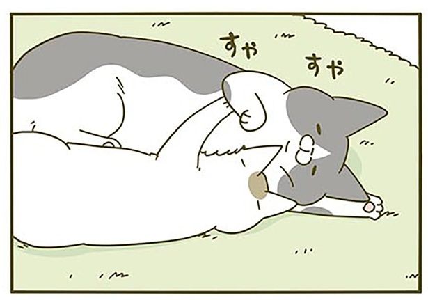 すやすや （C）卵山玉子／KADOKAWA