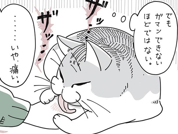 ガマンできないほどじゃ… （C）キュルZ／KADOKAWA