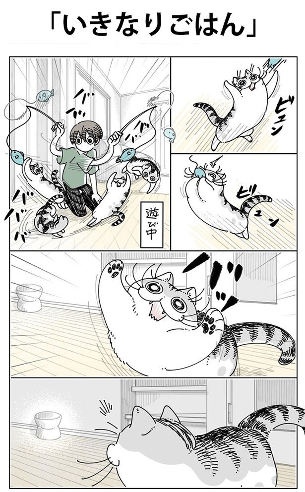 「いきなりごはん」01 画像提供：キュルZ@kyuryuZ
