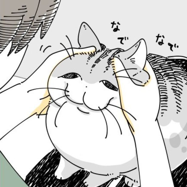 飼い主に撫でられる猫 画像提供：キュルZ@kyuryuZ